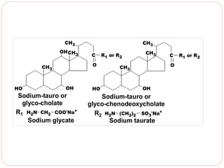 CH3

CH3

OH CH

3

O

CH3

HO

C

OH

Sodium-tauro or
glyco-cholate
R1 H2N CH2 COO-Na+
Sodium glycate

HO

R1 or R2

CH3

C
O

CH3

OH

Sodium-tauro or
glyco-chenodeoxycholate
R2 H2N (CH2)2 SO3-Na+
Sodium taurate

R1 or R2

 
