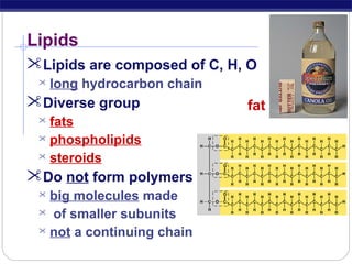 Lipids
Lipids are composed of C, H, O


long hydrocarbon chain

Diverse group
fats
 phospholipids
 steroids


Do not form polymers
big molecules made
 of smaller subunits
 not a continuing chain


fat

 