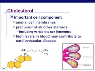 Cholesterol
Important cell component
animal cell membranes
 precursor of all other steroids


including vertebrate sex hormones


AP Biology

high levels in blood may contribute to
cardiovascular disease

 