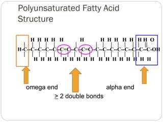 Polyunsaturated Fatty Acid
Structure
H H H H H

H

H H H H H HH O

H-C--C--C--C--C--C=C--C--C=C--C--C--C--C--C--C--C--C-OH

H H H H H H H H H H H H H H H H H

omega end
alpha end
> 2 double bonds

 