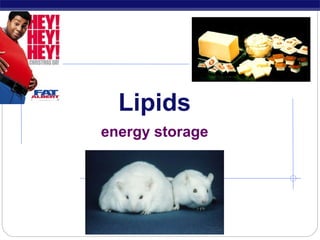 Lipids
energy storage

 