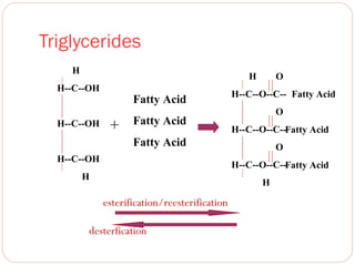 Triglycerides
H

H

H--C--OH

H--C--OH

Fatty Acid

+

Fatty Acid

O

H--C--O--C-- Fatty Acid
O
H--C--O--C--Fatty Acid

Fatty Acid
H--C--OH

O
H--C--O--C--Fatty Acid

H

H

esterification/reesterification
desterfication

 