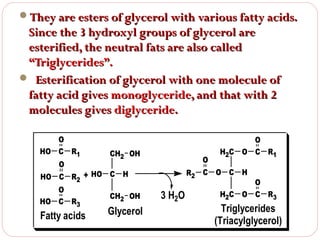 They are esters of glycerol with various fatty acids.

Since the 3 hydroxyl groups of glycerol are
esterified, the neutral fats are also called
“Triglycerides”.
 Esterification of glycerol with one molecule of
fatty acid gives monoglyceride, and that with 2
molecules gives diglyceride.
O
HO C R1
O

CH2 OH

HO C R2 + HO C H
O
CH2 OH
HO C R3

Fatty acids

Glycerol

O

O
H2C O C R1

R2 C O C H

3 H2O

O
H2C O C R3

Triglycerides
(Triacylglycerol)

 