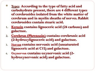  Types: According to the type of fatty acid and

carbohydrate present, there are 4 different types
of cerebrosides isolated from the white matter of
cerebrum and in myelin sheaths of nerves. Rabbit
cerebrosides contain stearic acid.
1. Kerasin contains lignoceric acid (24 carbons) and
galactose.
2. Cerebron (Phrenosin) contains cerebronic acid
(2-hydroxylignoceric acid) and galactose.
3. Nervon contains nervonic acid (unsaturated
lignoceric acid at C15) and galactose.
4. Oxynervon contains oxynervonic acid (2hydroxynervonic acid) and galactose.

 