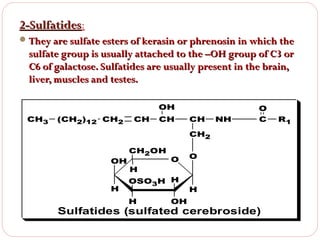 2-Sulfatides:
2-Sulfatides
 They are sulfate esters of kerasin or phrenosin in which the

sulfate group is usually attached to the –OH group of C3 or
C6 of galactose. Sulfatides are usually present in the brain,
liver, muscles and testes.
OH
CH3

(CH2)12 CH2

CH

CH

CH

NH

O
C

CH2
OH
H

CH2OH
H

O

OSO3H H
H

OH

O

H

Sulfatides (sulfated cerebroside)

R1

 