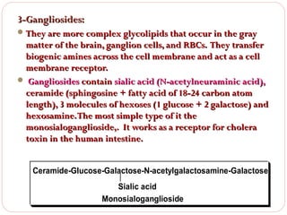 3-Gangliosides:
 They are more complex glycolipids that occur in the gray

matter of the brain, ganglion cells, and RBCs. They transfer
biogenic amines across the cell membrane and act as a cell
membrane receptor.
 Gangliosides contain sialic acid (N-acetylneuraminic acid),
ceramide (sphingosine + fatty acid of 18-24 carbon atom
length), 3 molecules of hexoses (1 glucose + 2 galactose) and
hexosamine. The most simple type of it the
monosialoganglioside,. It works as a receptor for cholera
toxin in the human intestine.
Ceramide-Glucose-Galactose-N-acetylgalactosamine-Galactose
Sialic acid
Monosialoganglioside

 