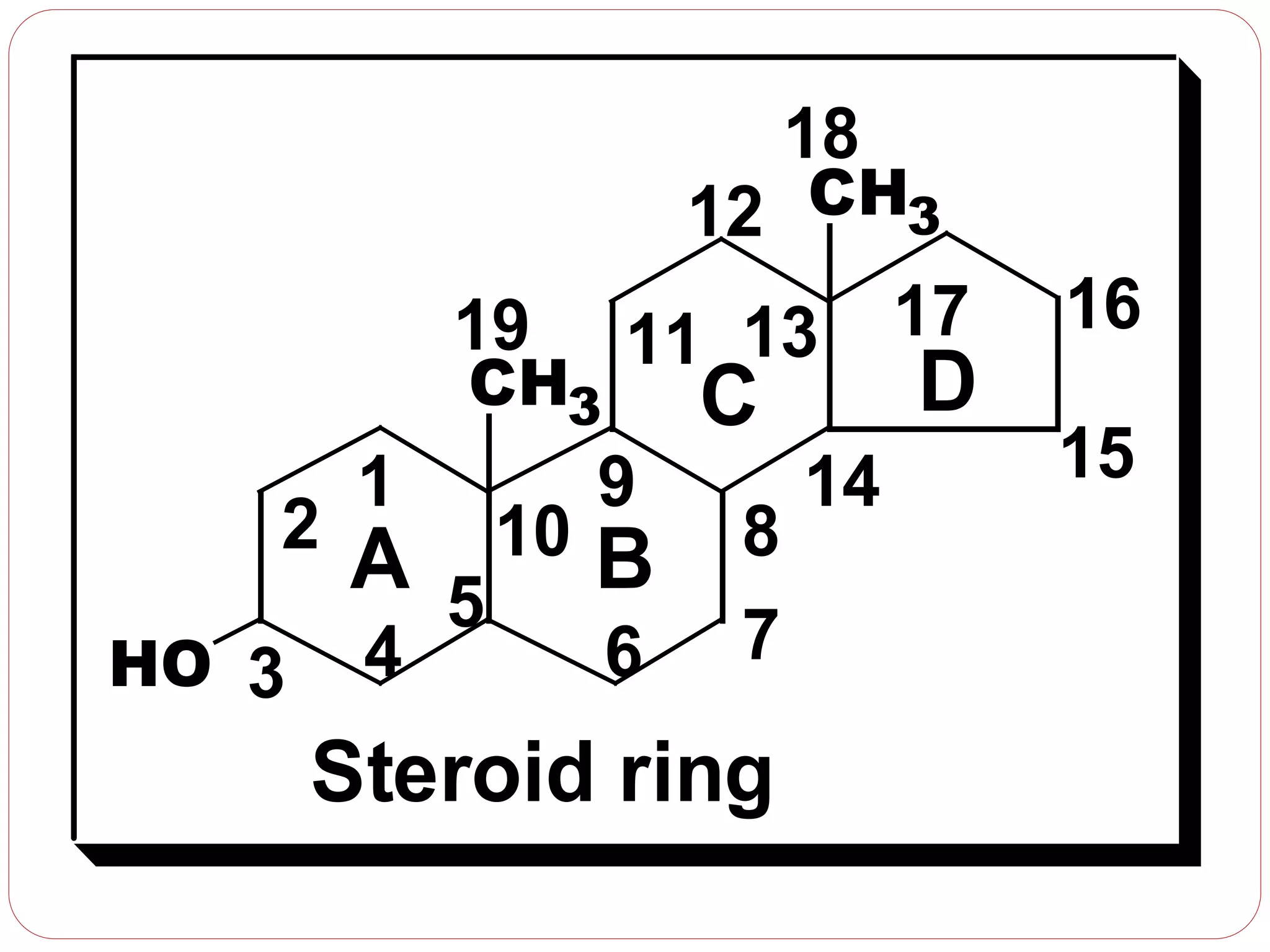 CH3
CH3
HO
Steroid ring
1
2
3 4
5
6 7
8
9
10
11
12
13
14 15
1617
18
19
A B
C D
 