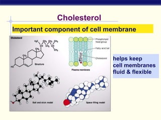 Cholesterol
helps keep
cell membranes
fluid & flexible
Important component of cell membrane
 