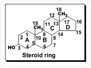CH3
CH3
HO
Steroid ring
1
2
3 4
5
6 7
8
9
10
11
12
13
14 15
1617
18
19
A B
C D
 