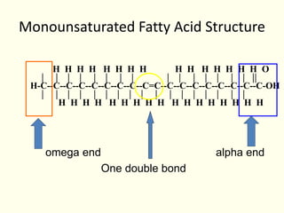 Monounsaturated Fatty Acid Structure
omega end alpha end
One double bond
H H H H H H H H H H H H H H H O
H-C--C--C--C--C--C--C--C--C=C--C--C--C--C--C--C--C--C-OH
H H H H H H H H H H H H H H H H H
 