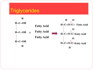 Triglycerides
H
H--C--OH
H--C--OH
H--C--OH
H
Fatty Acid
Fatty Acid
Fatty Acid
+
H O
H--C--O--C--
O
H--C--O--C--
O
H--C--O--C--
H
Fatty Acid
Fatty Acid
Fatty Acid
 