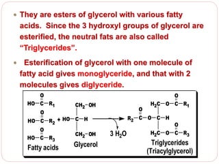  They are esters of glycerol with various fatty
acids. Since the 3 hydroxyl groups of glycerol are
esterified, the neutral fats are also called
“Triglycerides”.
 Esterification of glycerol with one molecule of
fatty acid gives monoglyceride, and that with 2
molecules gives diglyceride.
H2C O
C HO
H2C
C
C
O C
R1
R3
R2
O
O
O
+
3 H2O
CH2 OH
C HHO
CH2 OH
HO C R1
O
HO C R3
O
HO C R2
O
Fatty acids Glycerol Triglycerides
(Triacylglycerol)
 