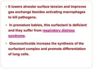  It lowers alveolar surface tension and improves
gas exchange besides activating macrophages
to kill pathogens.
 In premature babies, this surfactant is deficient
and they suffer from respiratory distress
syndrome.
 Glucocorticoids increase the synthesis of the
surfactant complex and promote differentiation
of lung cells.
 