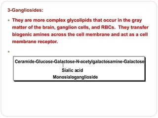 3-Gangliosides:
 They are more complex glycolipids that occur in the gray
matter of the brain, ganglion cells, and RBCs. They transfer
biogenic amines across the cell membrane and act as a cell
membrane receptor.

Ceramide-Glucose-Galactose-N-acetylgalactosamine-Galactose
Monosialoganglioside
Sialic acid
 