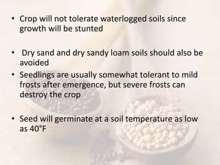 • Propagation
• Crop Rotation
• Seed Bed preparation
• Fertilization
• Irrigation
• Weeding
• Pest & Disease Management
• ...