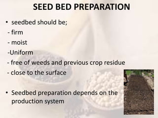 Seeding Date
• Planting should occur as early in the season as
the environmental conditions allow
• An earlier seeding dat...