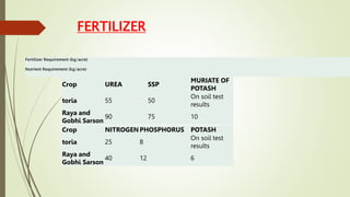 FERTILIZER
Crop UREA SSP
MURIATE OF
POTASH
toria 55 50
On soil test
results
Raya and
Gobhi Sarson
90 75 10
Crop NITROGEN PHOSPHORUS POTASH
toria 25 8
On soil test
results
Raya and
Gobhi Sarson
40 12 6
Fertilizer Requirement (kg/acre)
Nutrient Requirement (kg/acre)
 