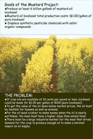 Goals of the Mustard Project:
                                                          NREL/PO-510-31794
                                                          March 2002




!Produce at least 6 billion gallons of mustard oil
biodiesel
!Mustard oil biodiesel total production costs <$1.00/gallon of
pure biodiesel
! Displace synthetic pesticide chemicals with safer
organic compounds




THE PROBLEM:
!If crop oils are available at 10 cents per pound or less, biodiesel
could be made for $1.00 per gallon of B100 (pure biodiesel).
!To get the value of the oil down below market prices, the oil must
be inedible for humans as well as animals.
!For the oil seed crusher to make money when the oil is nearly
worthless, the meal must have a higher value than animal feed.
!There must be a large industrial market for the meal that drives
demand for the crop to produce enough oil to make a national
impact on oil supply.
 
