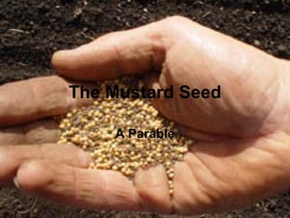 The Mustard Seed

    A Parable
 