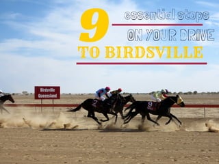 9TO BIRDSVILLE
essential stops
ON YOUR DRIVE
 