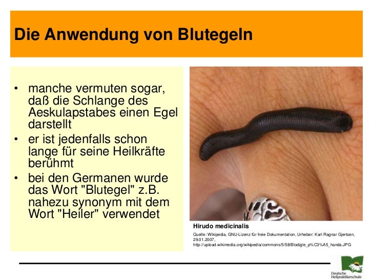 vermuten synonym vermuten synonym