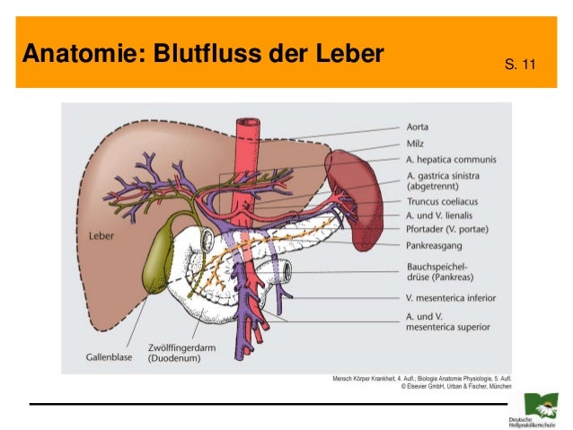 Wie der Frau wenn der Mann zu helfen trinkt