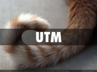 Photo by cobalt123 - Creative Commons Attribution-NonCommercial-ShareAlike License https://www.flickr.com/photos/66606673@N00 Created with Haiku Deck
 