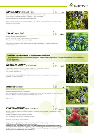 ’Saani’ Саани FinE
Не очень крупные темно-синие ягоды.
Вкусные, ароматные ягоды, напоминающие по вкусу чернику.
Очень урожайный сорт. Урожай созревает сразу.
Низкорослый, густой куст. Очень зимостойкий сорт, можно выращивать в северных районах, где
выпадает много снега.
’Patriot’ Патриот
Очень крупные темно-синие ягоды.
Ягоды необыкновенно вкусные и ароматные.
Сорт очень урожайный и, кроме того, очень декоративный: может также использоваться при озеленении
благодаря эффектным цветам и красивому осеннему цвету листьев.
Пышный куст.
I–IV (V)
I–III
’Pink Lemonade’ Пинк Лемонад
Крупные ягоды, блестящие и плотные. В отличие от остальных сортов голубики, спелые ягоды – темно-
розового цвета.
Вкусные, сладковатые ягоды с нежным ароматом.
Сорт урожайный. Ягоды выглядят очень декоративно.
Медленно растущий куст округлой формы.
I–III (IV)
’North Country’ Норд Кантри
Ягоды среднего размера, небесно-голубые, покрытые легким восковым налетом.
Вкусные, нежные ягоды, с легким ароматом лесной черники.
Сорт средней урожайности.
Низкорослый куст округлой формы, в общем, самоопыляющийся, но выигрывает от перекрестного
опыления. Хороший опылитель.
I–IV (V)
’North Blue’ Норд Блю FinE
Очень крупные темно-синие матовые ягоды округло-приплюснутой формы.
Ягоды сладкие, с приятной кислинкой, созревают в августе-сентябре.
Очень урожайный сорт, особенно вкусен в свежем виде.
Медленнорастущий, довольно низкорослый куст. Сорт, в общем, самоопыляющийся, но выигрывает от
перекрестного опыления.
I–V
Голубика высокорослая – Vaccinium corymbosum
Представленные ниже сорта выведены на основе популяции североамериканской голубики
высокорослой.
Следует иметь в виду, что указанные в рекламном проспекте пояса относятся к поясам
зимостойкости, действующим на территории Финляндии.
Аббревиатура FinE® получена из слов Finnish Elite – финский элитный. Использование этого символа
означает, что саженцы выращены из черенков, взятых от проверенных материнских растений, свойства
которых (в том числе устойчивость к болезням) хорошо известны. Владельцем товарного знака FinE®
является финский Исследовательский с/х центр МТТ.
 
