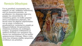 Παναγία Οδηγήτρια
Για τις μοναδικές τοιχογραφίες που
κοσμούν το ναό, κλήθηκαν καλλιτέχνες
από την Κωνσταντινούπολη, να
μεταδώσουν την εξώκοσμη αύρα στις
μορφές που απεικονίζονται. Ο
επισκέπτης φτάνει να σταθεί μπροστά
στους εικονιζόμενους μάρτυρες, στο
δυτικό τοίχο του βόρειου παρεκκλησίου
για να νιώσει τη Βυζαντινή
μεγαλοπρέπεια: αιωρούμενες μορφές με
βλέμματα βαθειάς πνευματικότητας,
κλασσικές αναλογίες και ανάλαφρες
κινήσεις, ζωγραφική επιδεξιότητα με
απόλυτη αντίληψη των χρωμάτων και
έλεγχο των αποχρώσεων σε ένα σχεδόν
ιμπρεσιονιστικό τελείωμα. Όλος ο ναός
είναι ένας πελώριος καμβάς χρωματικών
αντιθέσεων και μελωδιών.
 