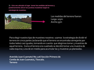 Reporte de resultados.