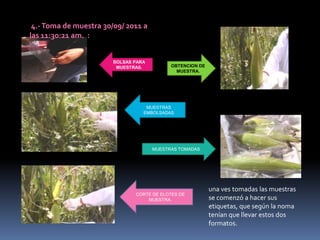 Envió de certificado vía Courier o cliente.