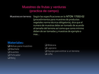 Recepción de muestra.