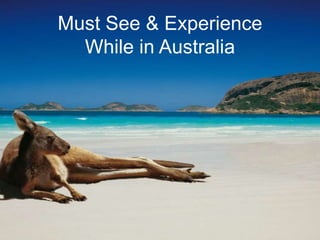 Must See & Experience
While in Australia
 