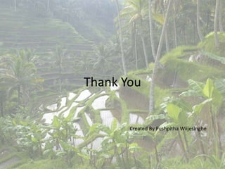Thank You
Created By Pushpitha Wiijesinghe
 