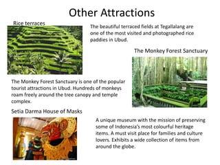 Other Attractions
Rice terraces
The beautiful terraced fields at Tegallalang are
one of the most visited and photographed rice
paddies in Ubud.
The Monkey Forest Sanctuary
The Monkey Forest Sanctuary is one of the popular
tourist attractions in Ubud. Hundreds of monkeys
roam freely around the tree canopy and temple
complex.
Setia Darma House of Masks
A unique museum with the mission of preserving
some of Indonesia’s most colourful heritage
items. A must visit place for families and culture
lovers. Exhibits a wide collection of items from
around the globe.
 