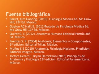 Fuente bibliográfica
• Barret, Kim Ganong, (2010). Fisiología Medica Ed. Mc Graw
Hill, 23ª Ed. México
• Guyton AC Hall JE. (2011)Tratado de Fisiología Medica Ed.
Mc Graw Hill 11ª Ed. México.
• Quiroz G. F. (2012). Anatomía Humana Editorial Porrúa 38ª
Ed. México.
• Fuentes S. R. (2004) Anatomía, Elementos y Componentes,
6ª edición, Editorial Trillas. México.
• Muñoz S.E (2010) Anatomía, Fisiología Higiene, 8ª edición
Editorial Imagen. México.
• Tortora Gerard J. Bryan Derrickson (2013) Principios de
Anatomía y Fisiología 13ª edición. Editorial Panamericana.
México.
 