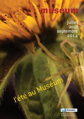 juillet
août
septembre
2014
l’été au Muséum
Micrommata virescens
© DenisPalanque.com
 