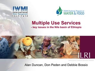 Multiple Use Services - key issues in the Nile basin of Ethiopia Alan Duncan, Don Peden and Debbie Bossio 