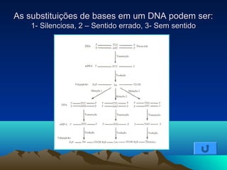 As substituições ddee bbaasseess eemm uumm DDNNAA ppooddeemm sseerr:: 
11-- SSiilleenncciioossaa,, 22 –– SSeennttiiddoo eerrrraaddoo,, 33-- SSeemm sseennttiiddoo 
 