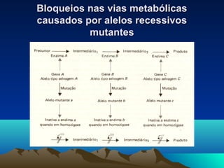 Bloqueios nnaass vviiaass mmeettaabbóólliiccaass 
ccaauussaaddooss ppoorr aalleellooss rreecceessssiivvooss 
mmuuttaanntteess 
 