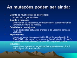 As mmuuttaaççõõeess ppooddeemm sseerr aaiinnddaa:: 
• Quanto ao nível celular de ocorrência: 
Somáticas ou germinativas. 
• Quanto a Herança: 
Dominantes ou recessivas, semidominates, sobredominantes 
(explicar; exemplo da mosca). 
• Deletérias ou vantajosas: 
P. ex. borboletas Betularias brancas e da Drosófila com asa 
vestigial). 
• Espontâneas: 
ocorre sem uma causa conhecida. Durante a replicação do 
DNA (DNA polimerase) ocorre a uma frequência de 10-5 . Após 
a revisão (endonucleases) cai para 10-10, e portanto baixa. 
• Induzidas: 
exposição a agentes mutagênicos feitos pelo homem. Em E. 
coli chega a 10-2. É muito alta 
