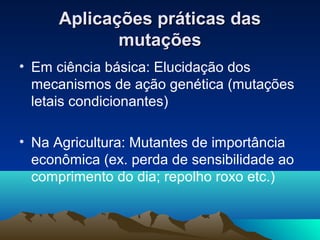 Aplicações pprrááttiiccaass ddaass 
mmuuttaaççõõeess 
• Em ciência básica: Elucidação dos 
mecanismos de ação genética (mutações 
letais condicionantes) 
• Na Agricultura: Mutantes de importância 
econômica (ex. perda de sensibilidade ao 
comprimento do dia; repolho roxo etc.) 
 
