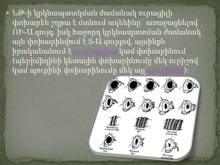  ՆԹ-ի կրկնապատկման ժամանակ ուրացիլի
 փոխարեն շղթա է մտնում ադենինը` առաջացնելով
 ՈՒ-Ա զույգ, իսկ հաջորդ կրկնապատման ժամանակ
 այն փոխարինվում է Տ-Ա զույգով, այսինքն
 իրականանում էտրանզիցիա կամ փոխարինում
 (պերիմիդինի կետային փոխարինումը մեկ ուրիշով
 կամ պուրինի փոխարինումը մեկ այլ պուրինով):
 