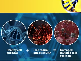 • U osnovi nastanka kancera je mutacija nekog
od gena koji su odgovorni za kontrolu deobe
ćelije ili ćelijske smrti.
• Mut...