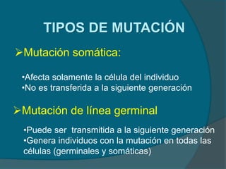 TIPOS DE MUTACIÓN
Mutación somática:
Mutación de línea germinal
•Afecta solamente la célula del individuo
•No es transferida a la siguiente generación
•Puede ser transmitida a la siguiente generación
•Genera individuos con la mutación en todas las
células (germinales y somáticas)
 
