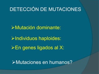 DETECCIÓN DE MUTACIONES
Mutación dominante:
Individuos haploides:
En genes ligados al X:
Mutaciones en humanos?
 