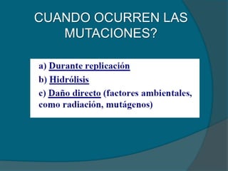 CUANDO OCURREN LAS
MUTACIONES?
 