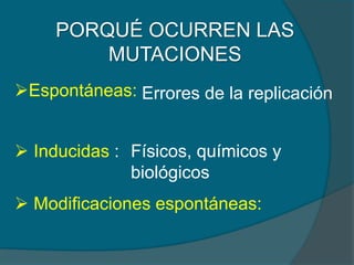 PORQUÉ OCURREN LAS
MUTACIONES
Espontáneas:
 Inducidas :
 Modificaciones espontáneas:
Físicos, químicos y
biológicos
Errores de la replicación
 