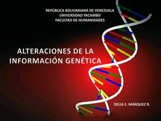REPÚBLICA BOLIVARIANA DE VENEZUELA
UNIVERSIDAD YACAMBÚ
FACULTAD DE HUMANIDADES
DELIA E. MÁRQUEZ R.
 