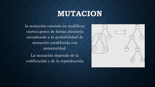 MUTACION
la mutación consiste en modificar
ciertos genes de forma aleatoria
atendiendo a la probabilidad de
mutación establecida con
anterioridad.
La mutación depende de la
codificación y de la reproducción
 